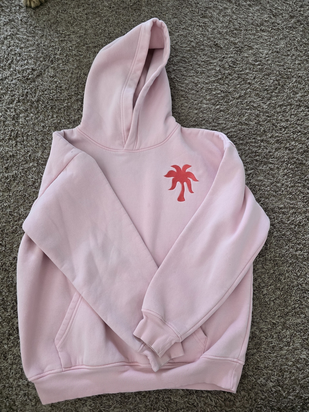 Light Pink Pullover Hoodie with Coral Palm Logo